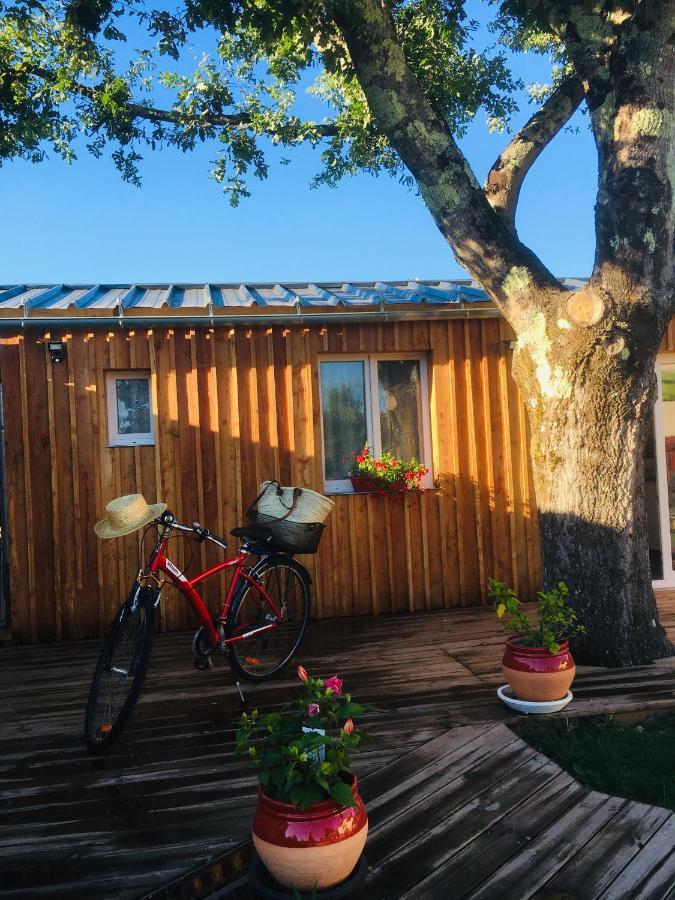 Les Petits Chalets De Kzo 라테스트드뷔크 외부 사진