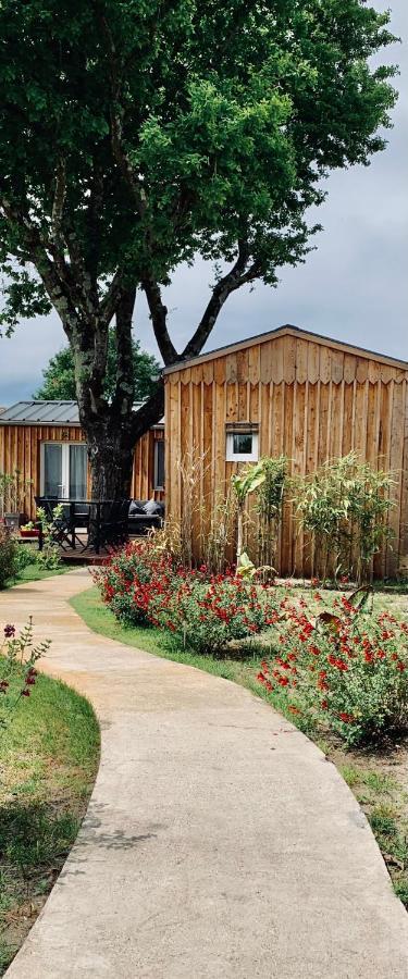 Les Petits Chalets De Kzo 라테스트드뷔크 외부 사진